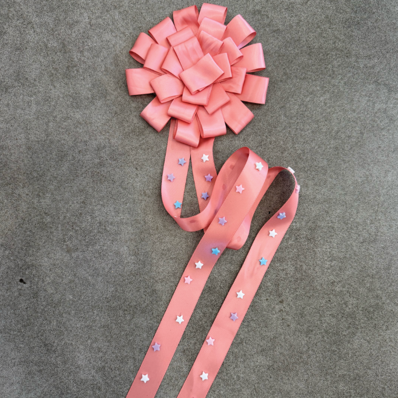 star girl rosette
